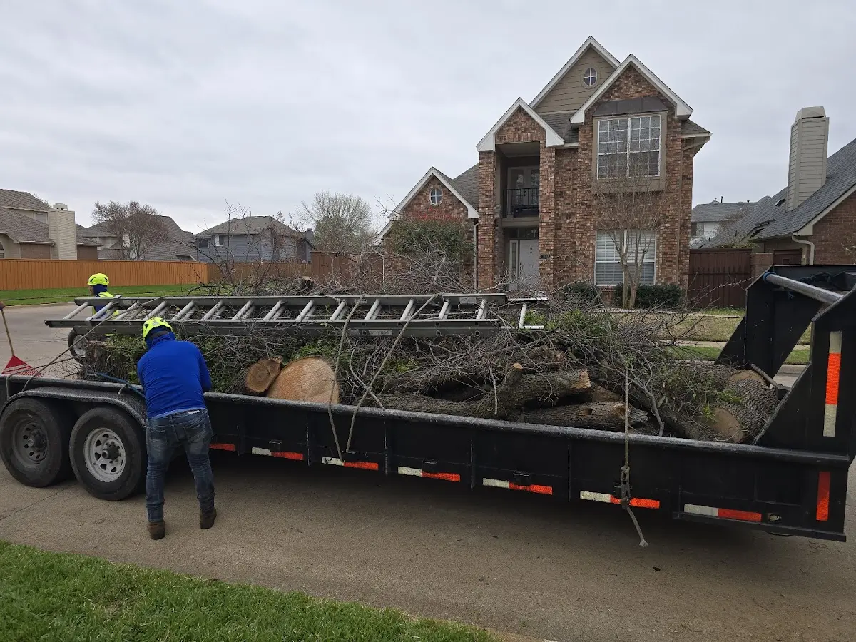 Expert Tree Fertilization with proper safety equipment in Flat Rock